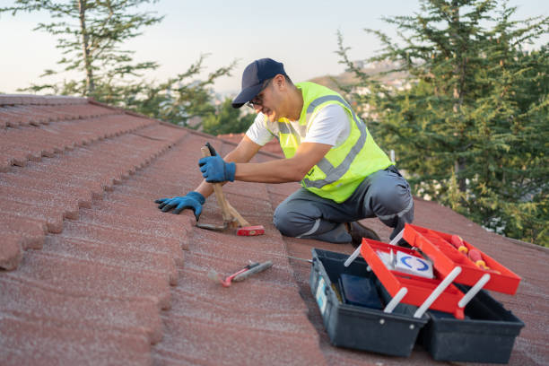 Best Metal Roofing Contractor  in Santa Anna, TX